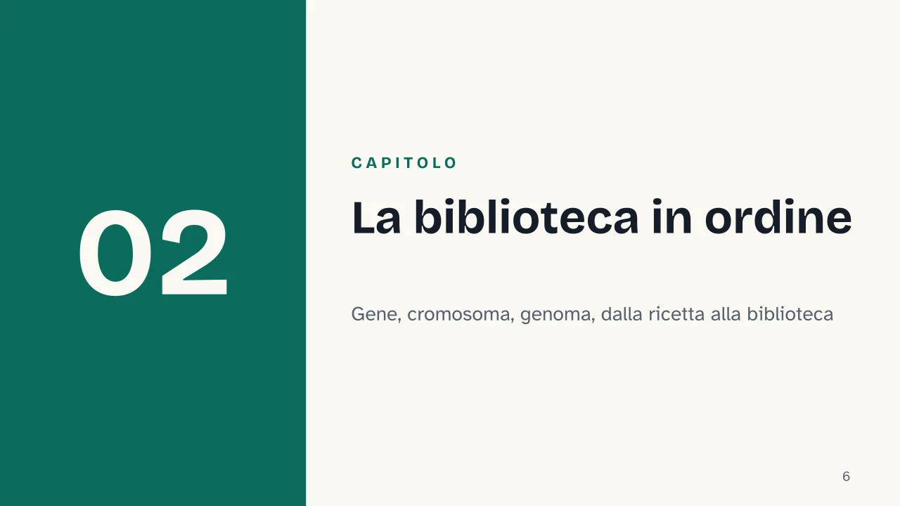 Slide 6 della presentazione su Il DNA: Capitolo 02: La biblioteca in ordine