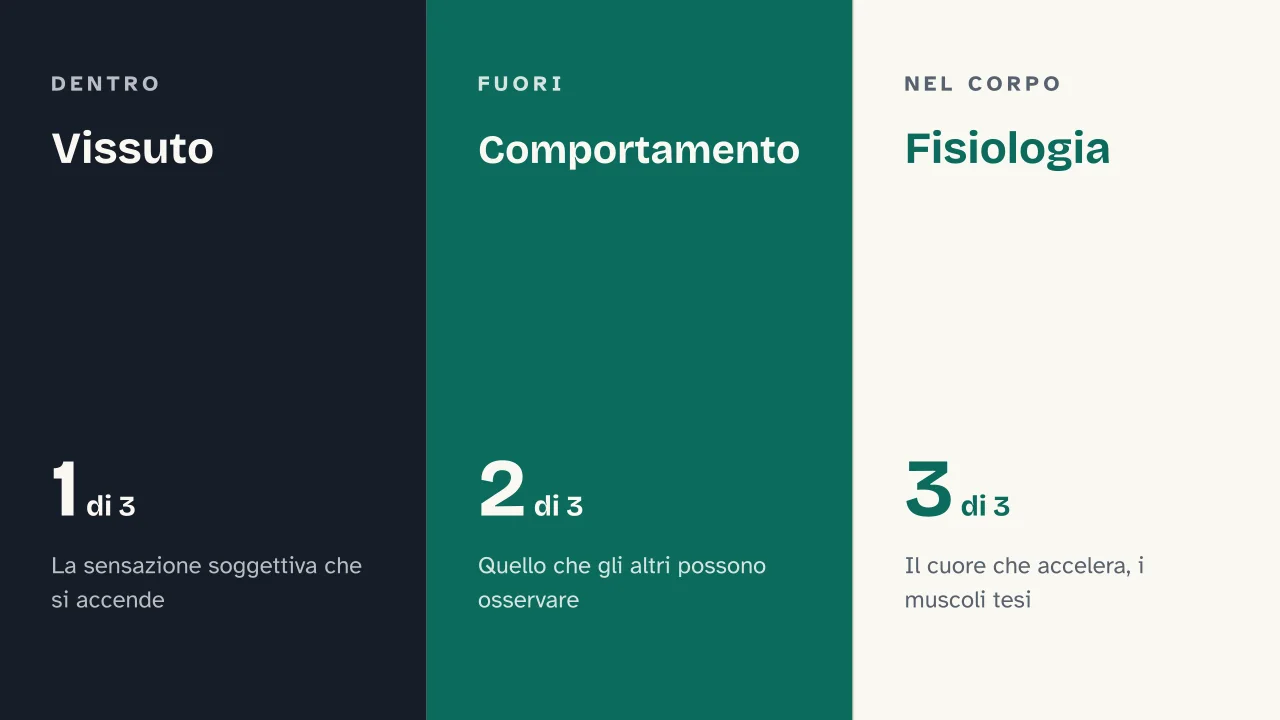 Slide 5 della presentazione su Emozioni umane: Vissuto · Comportamento · Fisiologia