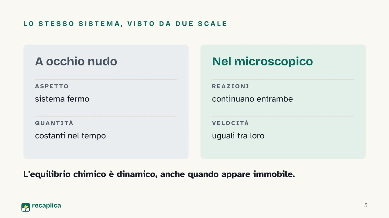 Slide 5 della presentazione su Equilibrio chimico: Lo stesso sistema, visto da due scale