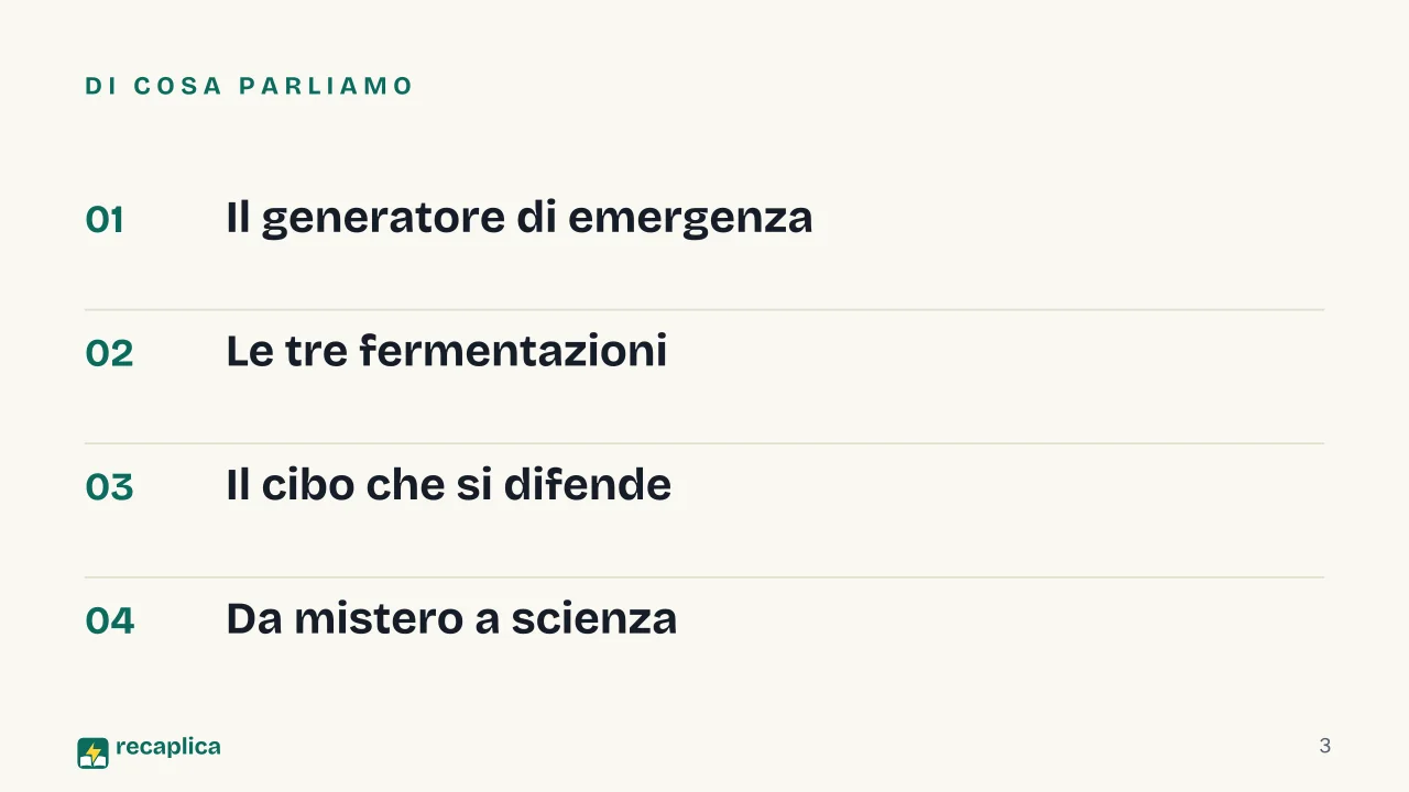 Slide 3 della presentazione su La fermentazione: Di cosa parliamo