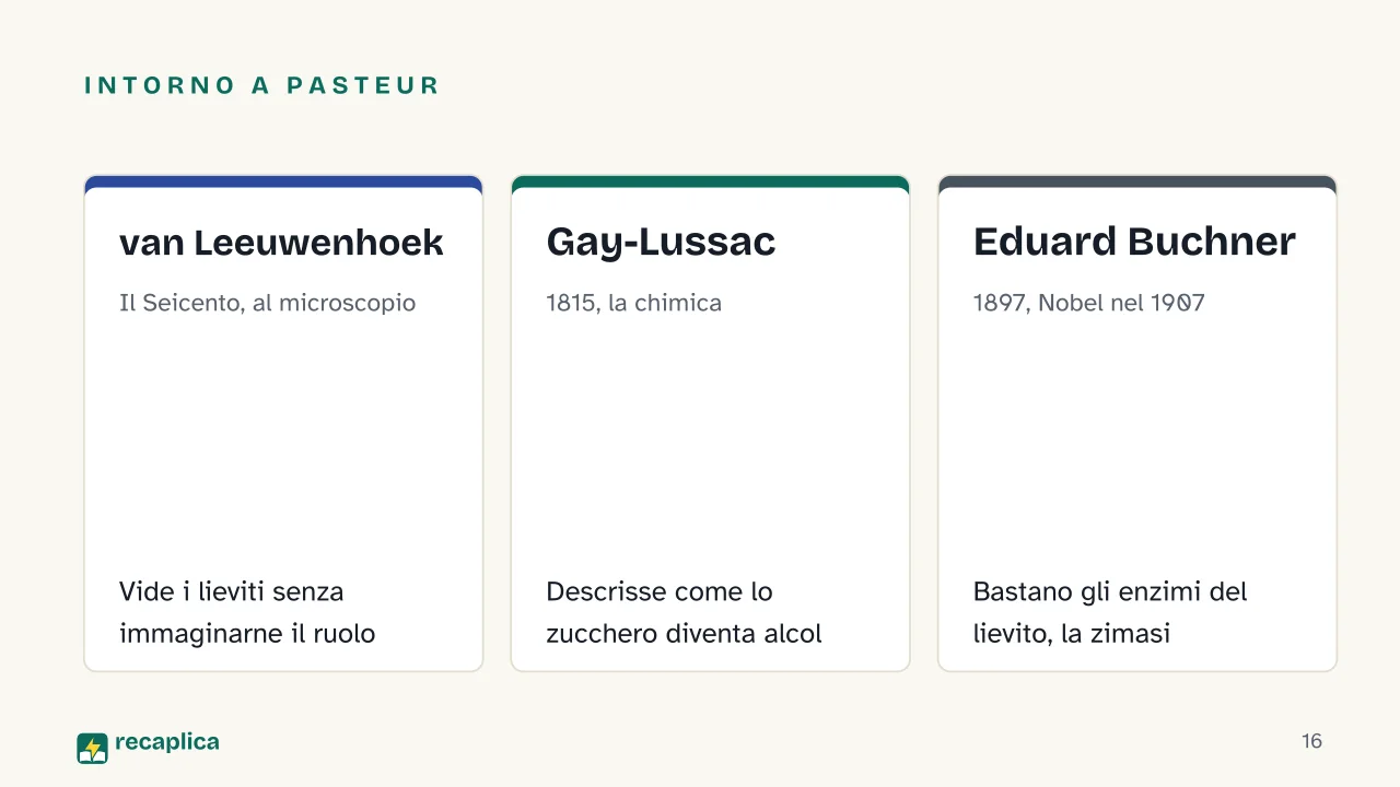 Slide 16 della presentazione su La fermentazione: Intorno a Pasteur: van Leeuwenhoek, Gay-Lussac, Eduard Buchner