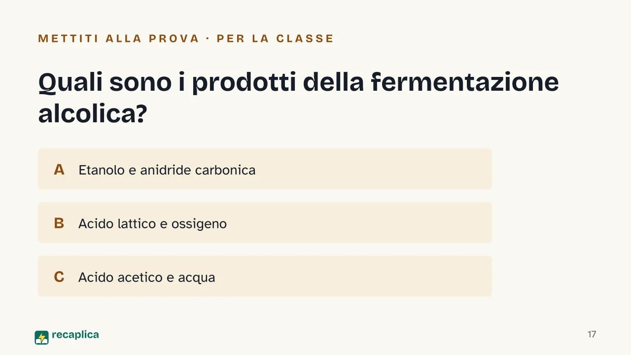 Slide 17 della presentazione su La fermentazione: Quali sono i prodotti della fermentazione alcolica?