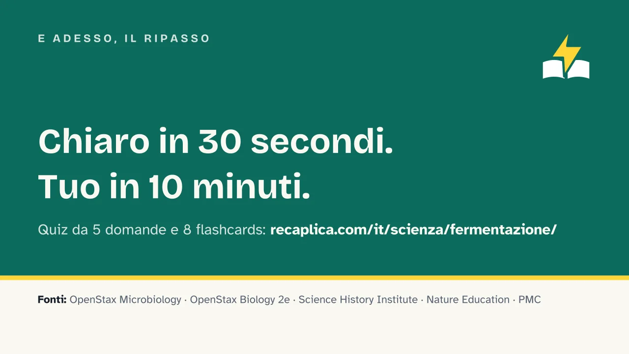 Slide 18 della presentazione su La fermentazione: E adesso, il ripasso