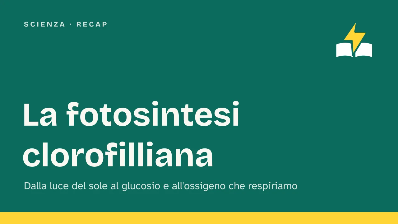 Slide 1 della presentazione su Fotosintesi clorofilliana: La fotosintesi clorofilliana