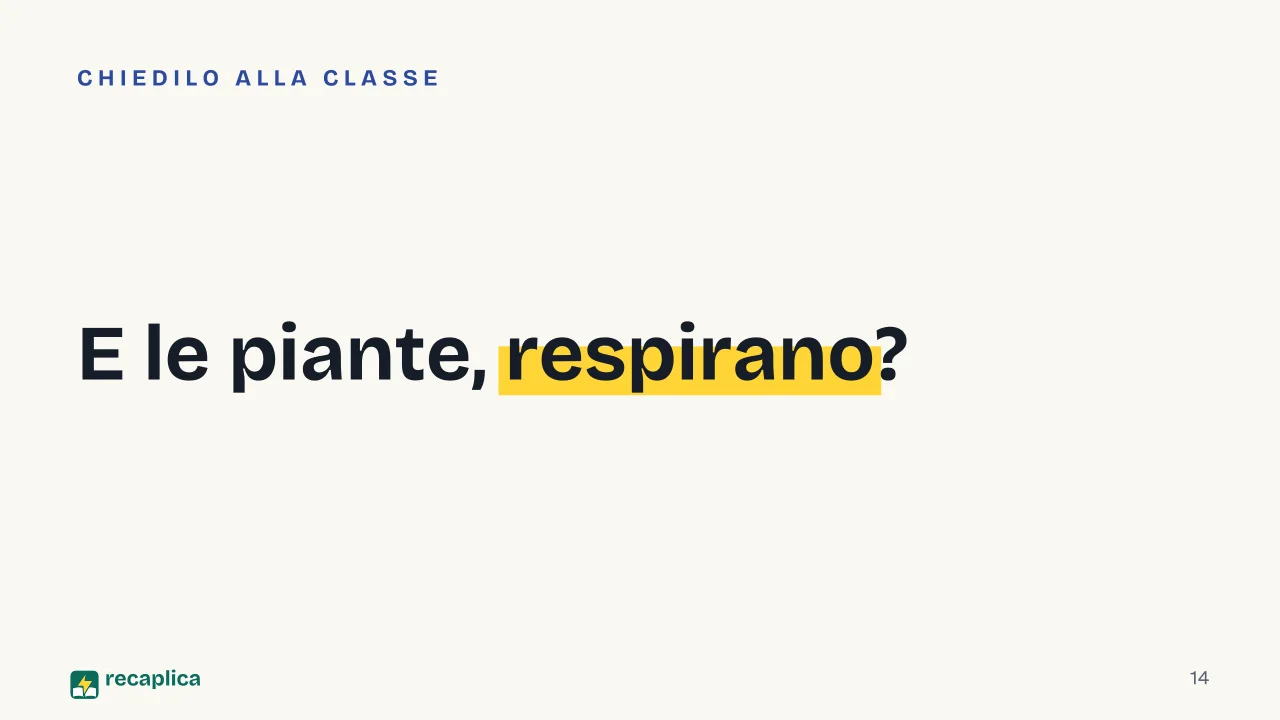 Slide 14 della presentazione su Fotosintesi clorofilliana: E le piante, respirano?