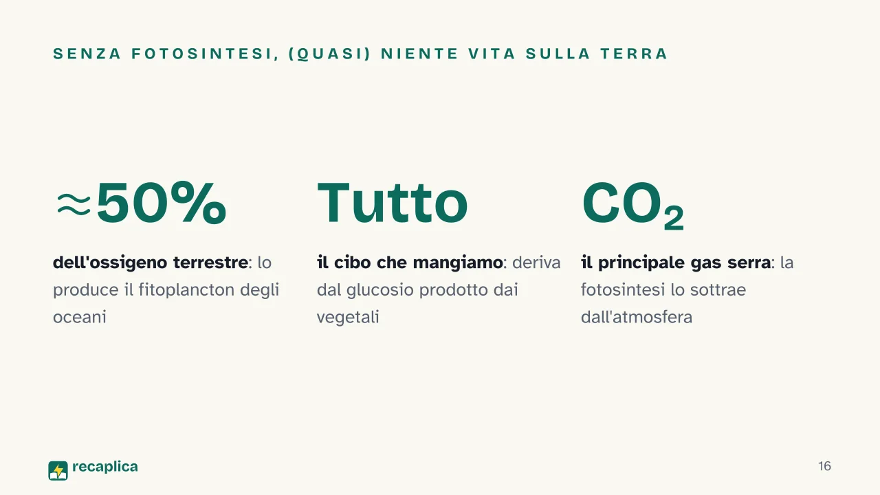Slide 16 della presentazione su Fotosintesi clorofilliana: Senza fotosintesi, (quasi) niente vita sulla Terra