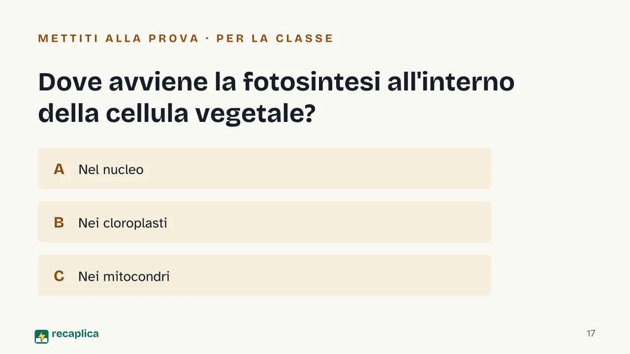 Slide 17 della presentazione su Fotosintesi clorofilliana: Dove avviene la fotosintesi all'interno della cellula vegetale?