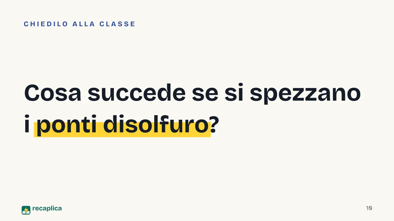 Slide 10 della presentazione su Il glutine: Cosa succede se si spezzano i ponti disolfuro?