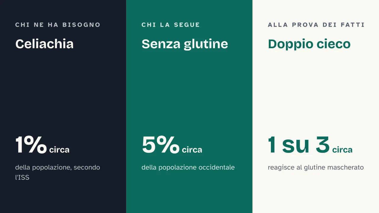 Slide 15 della presentazione su Il glutine: Celiachia · Senza glutine · Doppio cieco