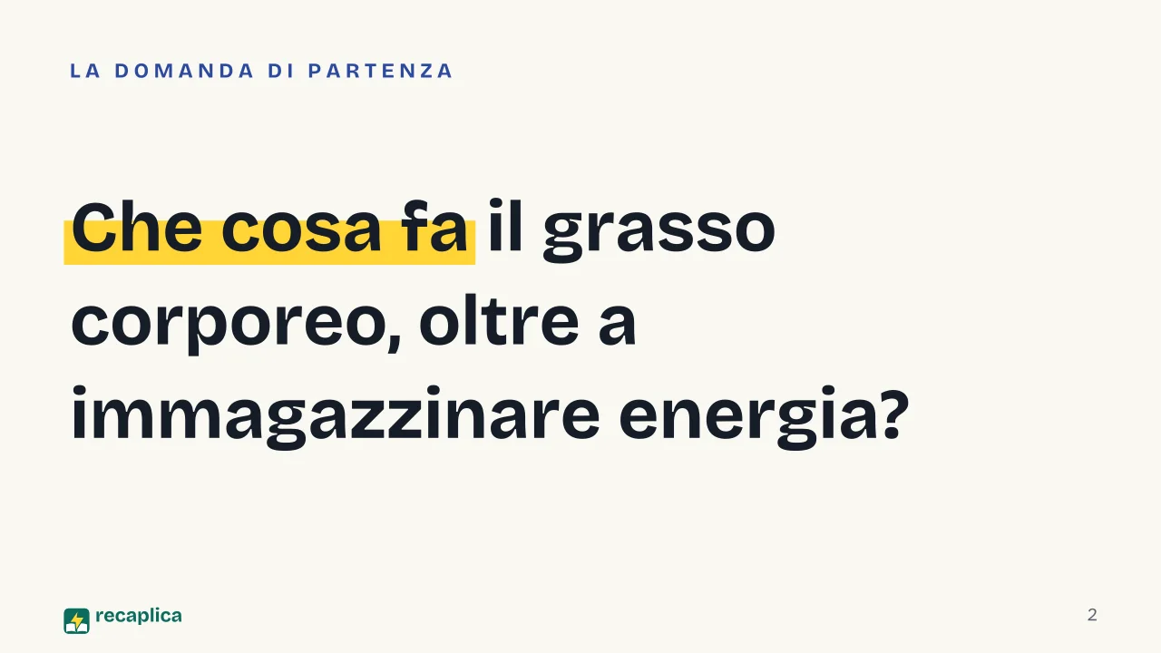 Slide 2 della presentazione su Grasso corporeo: Che cosa fa il grasso corporeo, oltre a immagazzinare energia?
