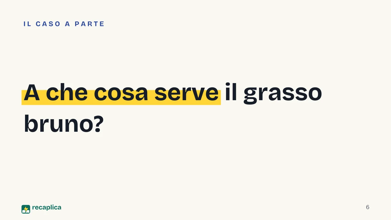Slide 6 della presentazione su Grasso corporeo: A che cosa serve il grasso bruno?