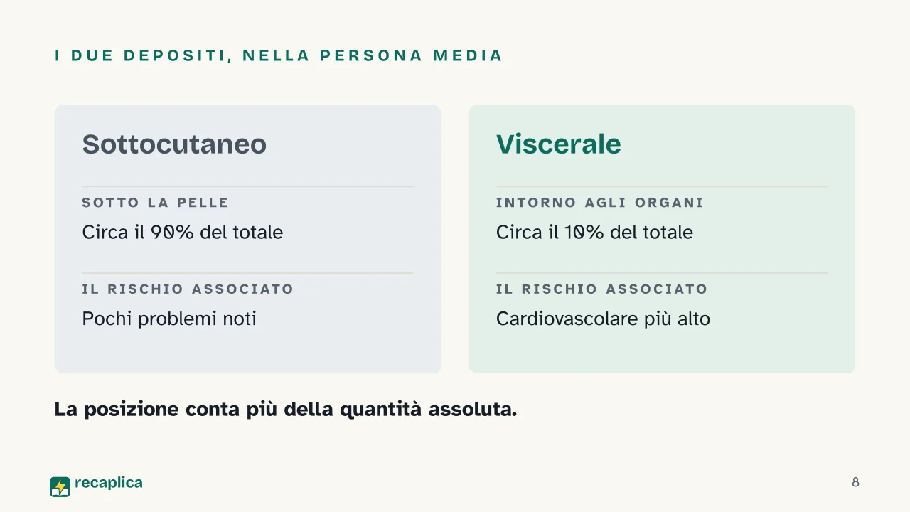 Slide 8 della presentazione su Grasso corporeo: I due depositi, nella persona media