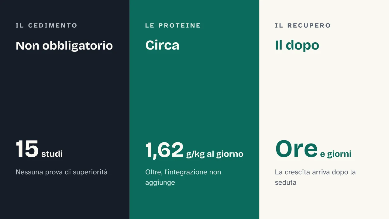 Slide 13 della presentazione su Ipertrofia muscolare: Non obbligatorio · Circa · Il dopo