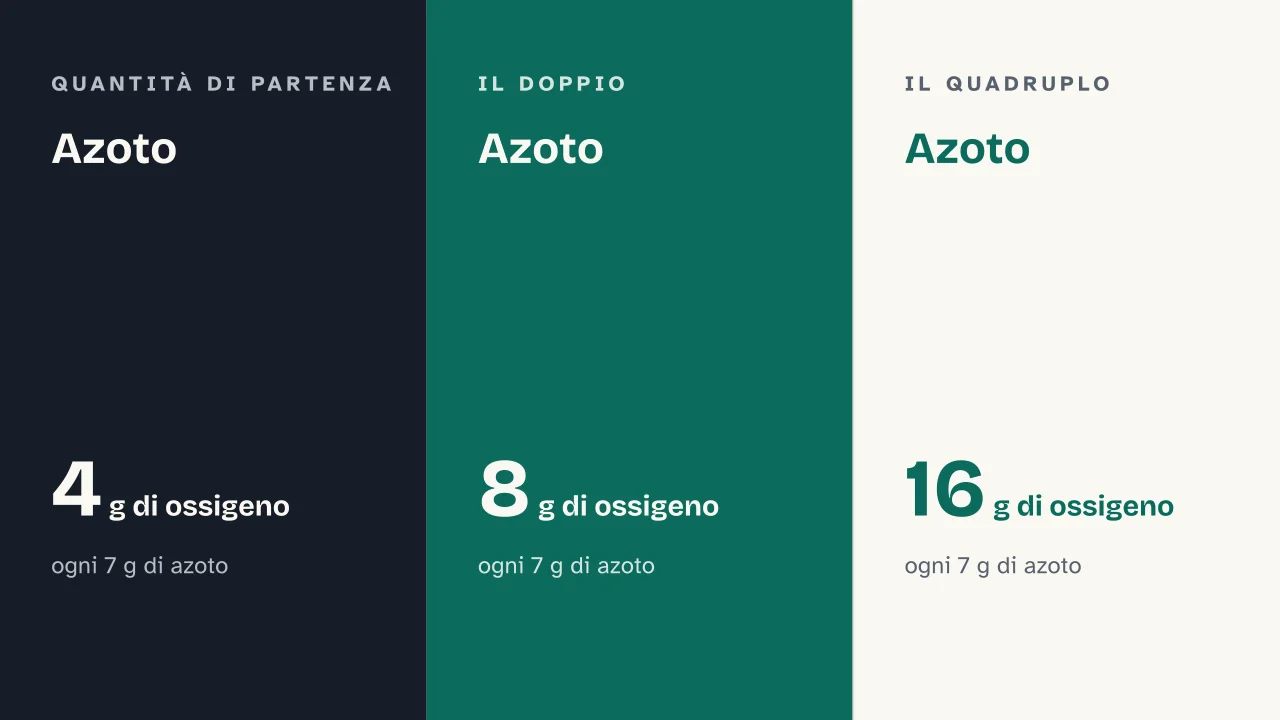 Slide 9 della presentazione su Leggi ponderali: Azoto · Azoto · Azoto