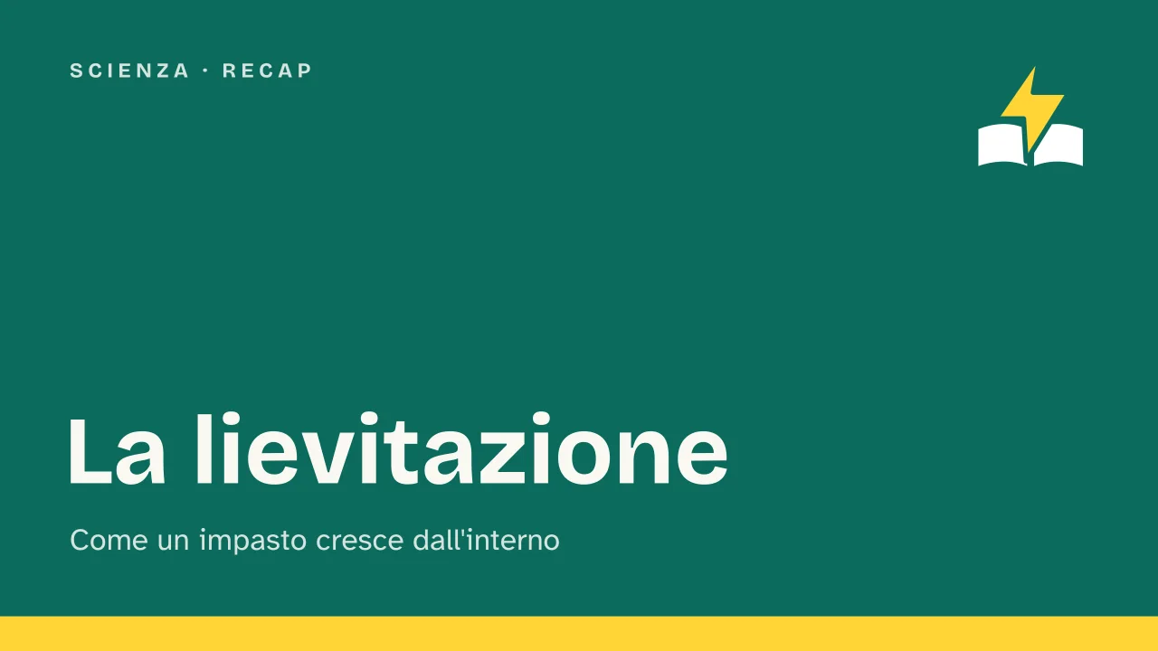 Slide 1 della presentazione su La lievitazione: La lievitazione