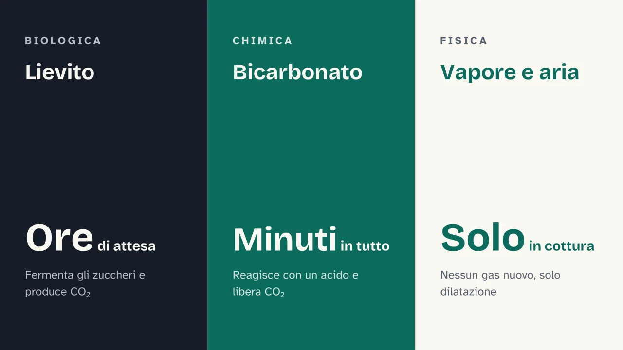 Slide 8 della presentazione su La lievitazione: Lievito · Bicarbonato · Vapore e aria
