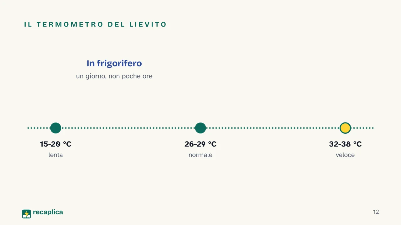 Slide 12 della presentazione su La lievitazione: Il termometro del lievito