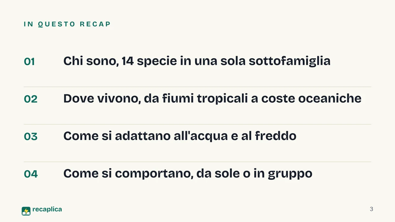 Slide 3 della presentazione su Lontre: In questo Recap