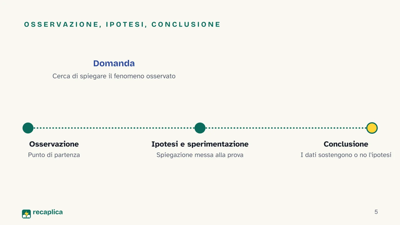 Slide 5 della presentazione su Metodo scientifico: Osservazione, ipotesi, conclusione