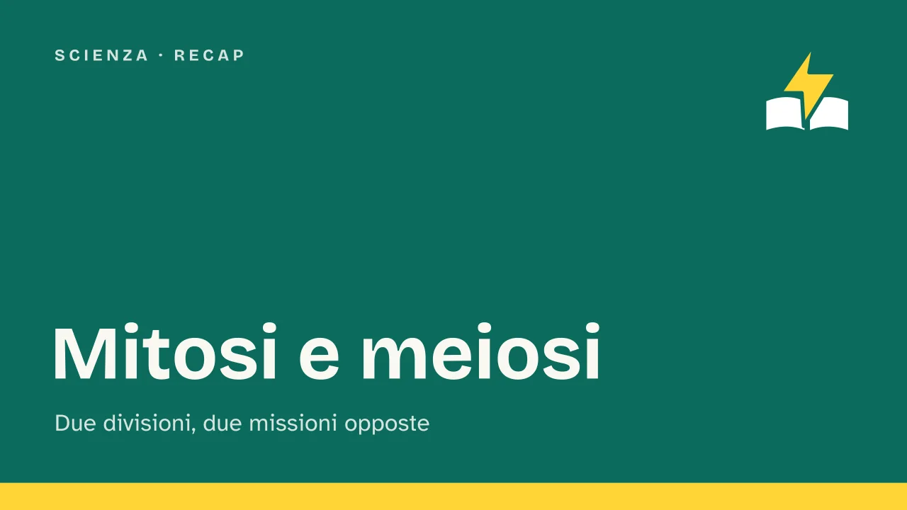 Slide 1 della presentazione su Mitosi e meiosi: Mitosi e meiosi