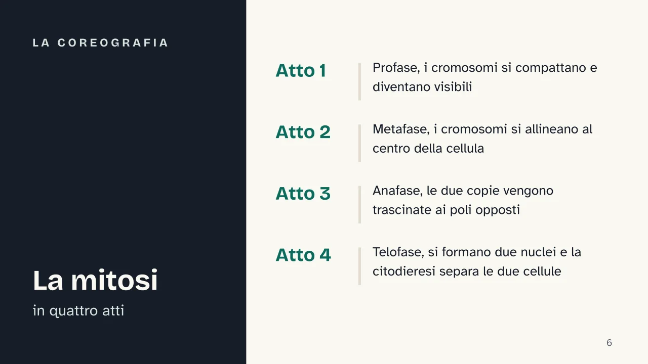 Slide 6 della presentazione su Mitosi e meiosi: La coreografia