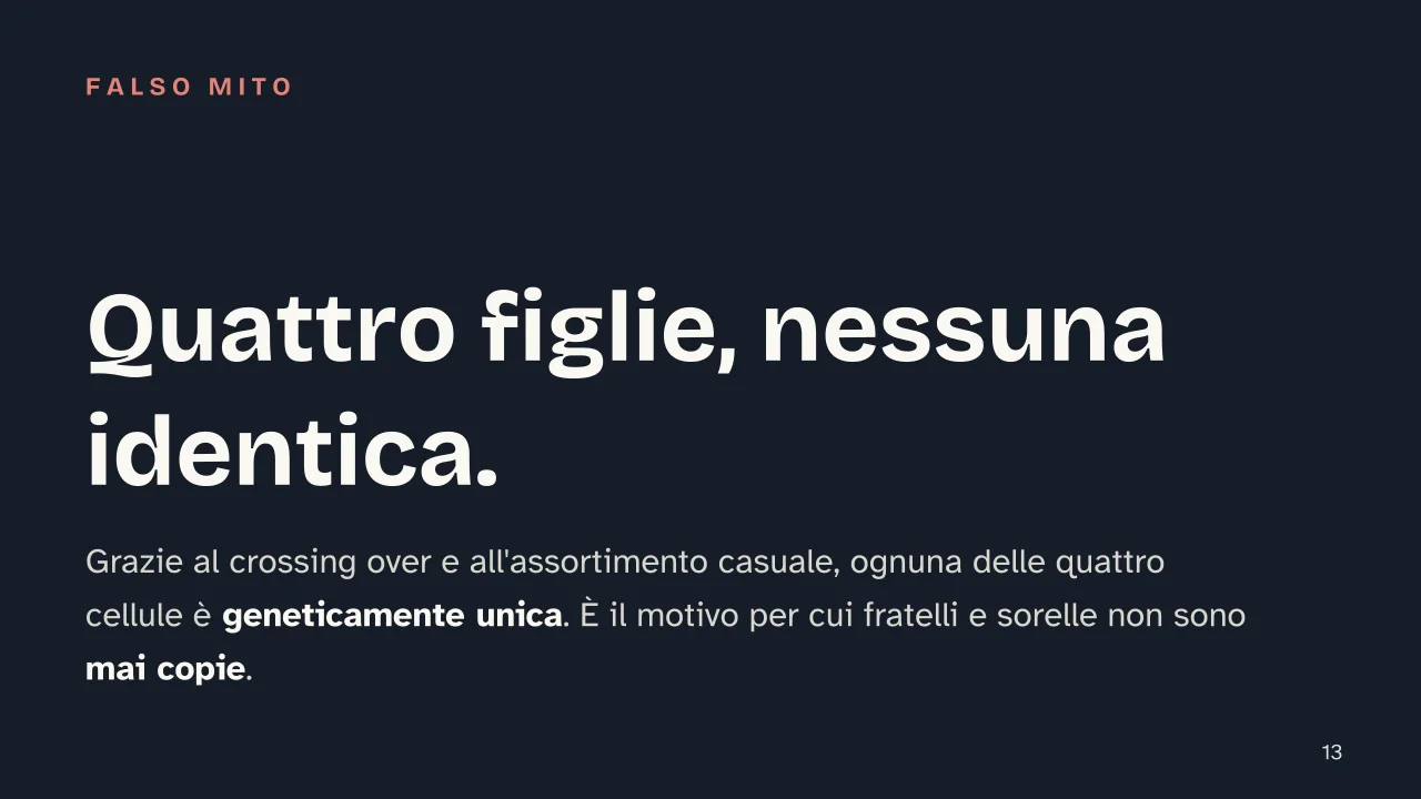 Slide 13 della presentazione su Mitosi e meiosi: Quattro figlie, nessuna identica.