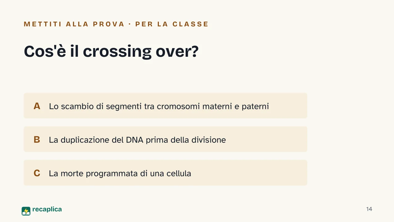 Slide 14 della presentazione su Mitosi e meiosi: Cos'è il crossing over?