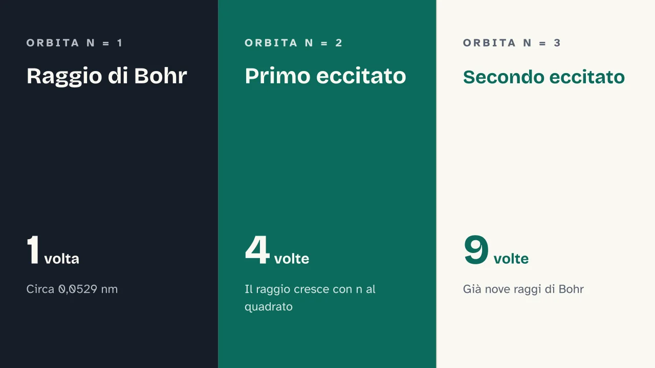 Slide 9 della presentazione su Modello atomico di Bohr: Raggio di Bohr · Primo eccitato · Secondo eccitato