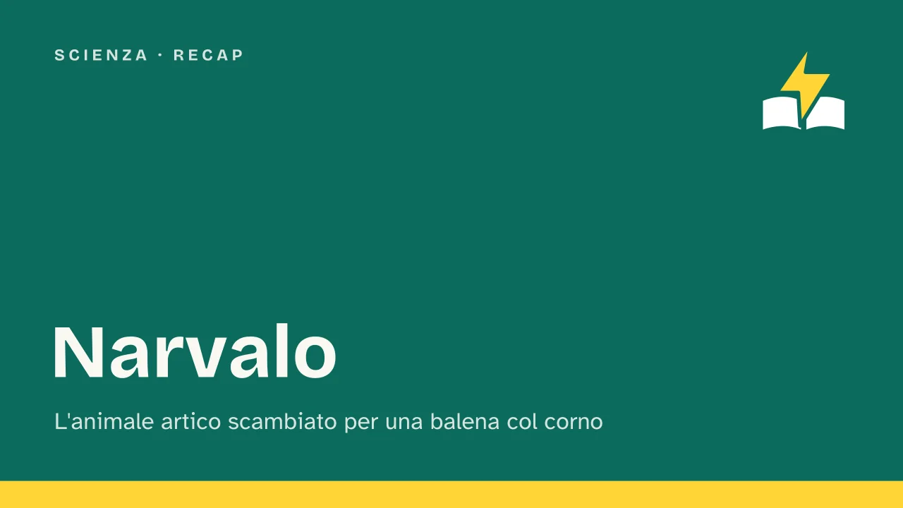 Slide 1 della presentazione su Narvalo: Narvalo