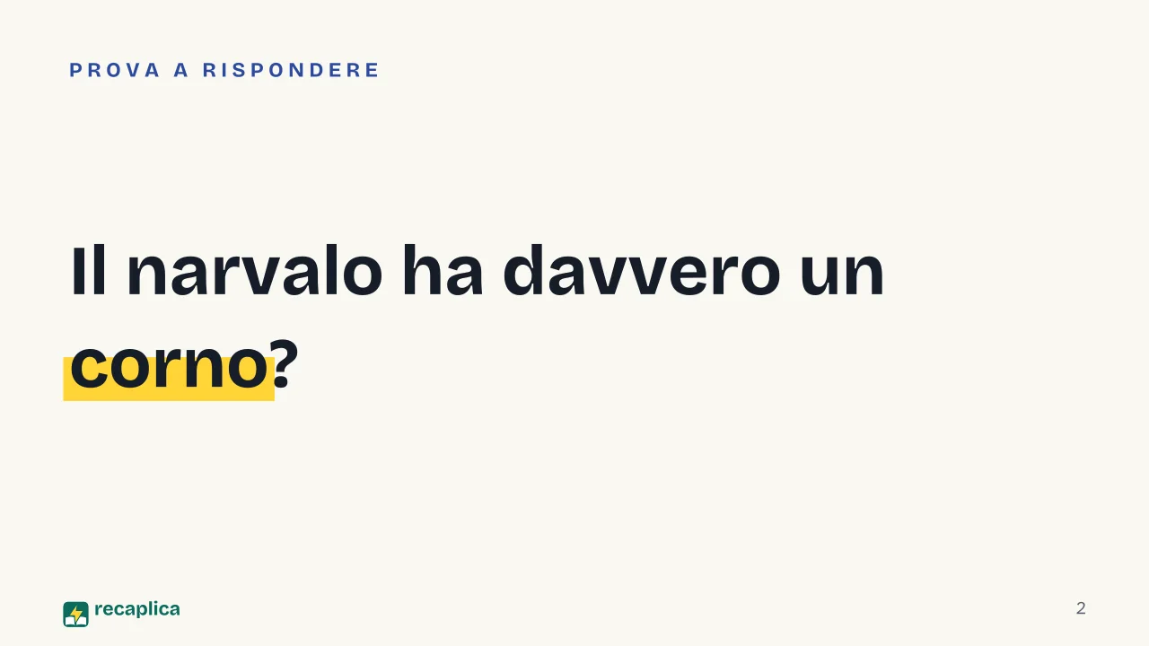 Slide 2 della presentazione su Narvalo: Il narvalo ha davvero un corno?