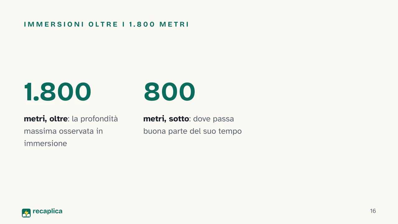 Slide 16 della presentazione su Narvalo: Immersioni oltre i 1.800 metri