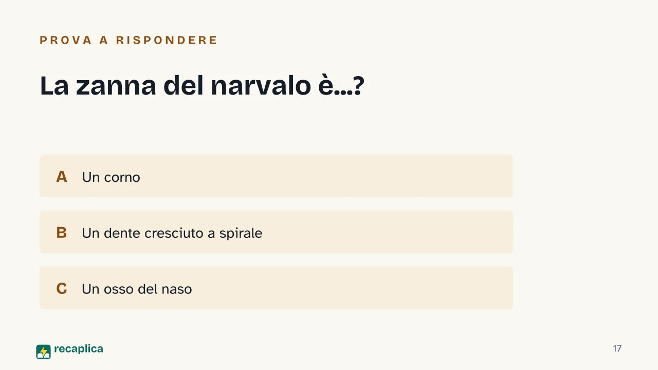 Slide 17 della presentazione su Narvalo: La zanna del narvalo è...?