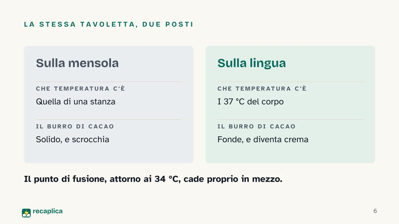 Slide 6 della presentazione su Perché il cioccolato si scioglie in bocca: La stessa tavoletta, due posti