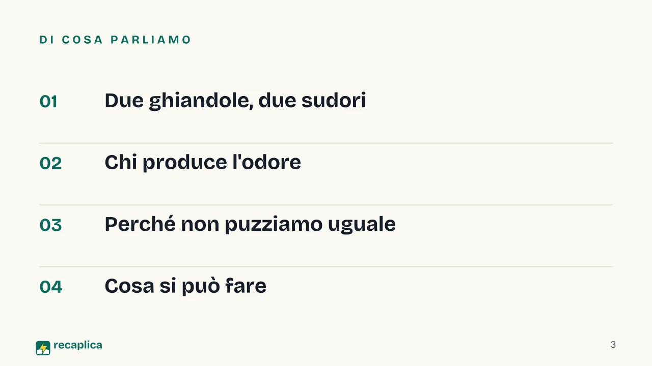 Slide 3 della presentazione su Perché il sudore puzza: Di cosa parliamo