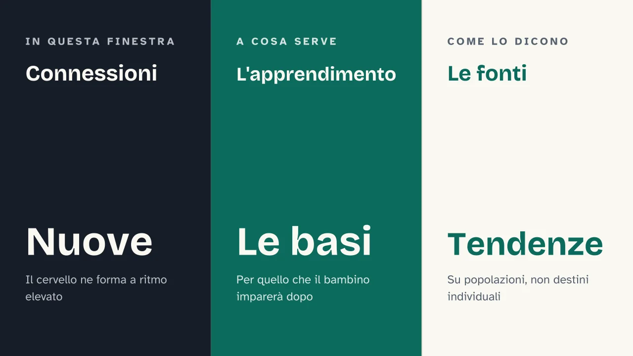 Slide 8 della presentazione su I primi 1000 giorni di vita: Connessioni · L'apprendimento · Le fonti