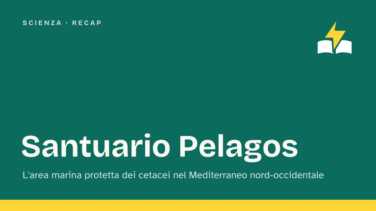 Slide 1 della presentazione su Santuario Pelagos: Santuario Pelagos
