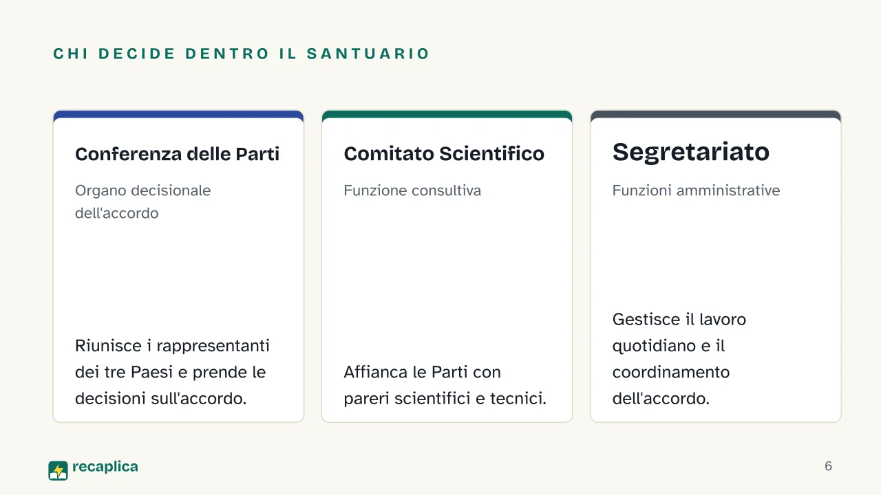 Slide 6 della presentazione su Santuario Pelagos: Chi decide dentro il Santuario: Conferenza delle Parti, Comitato Scientifico, Segretariato