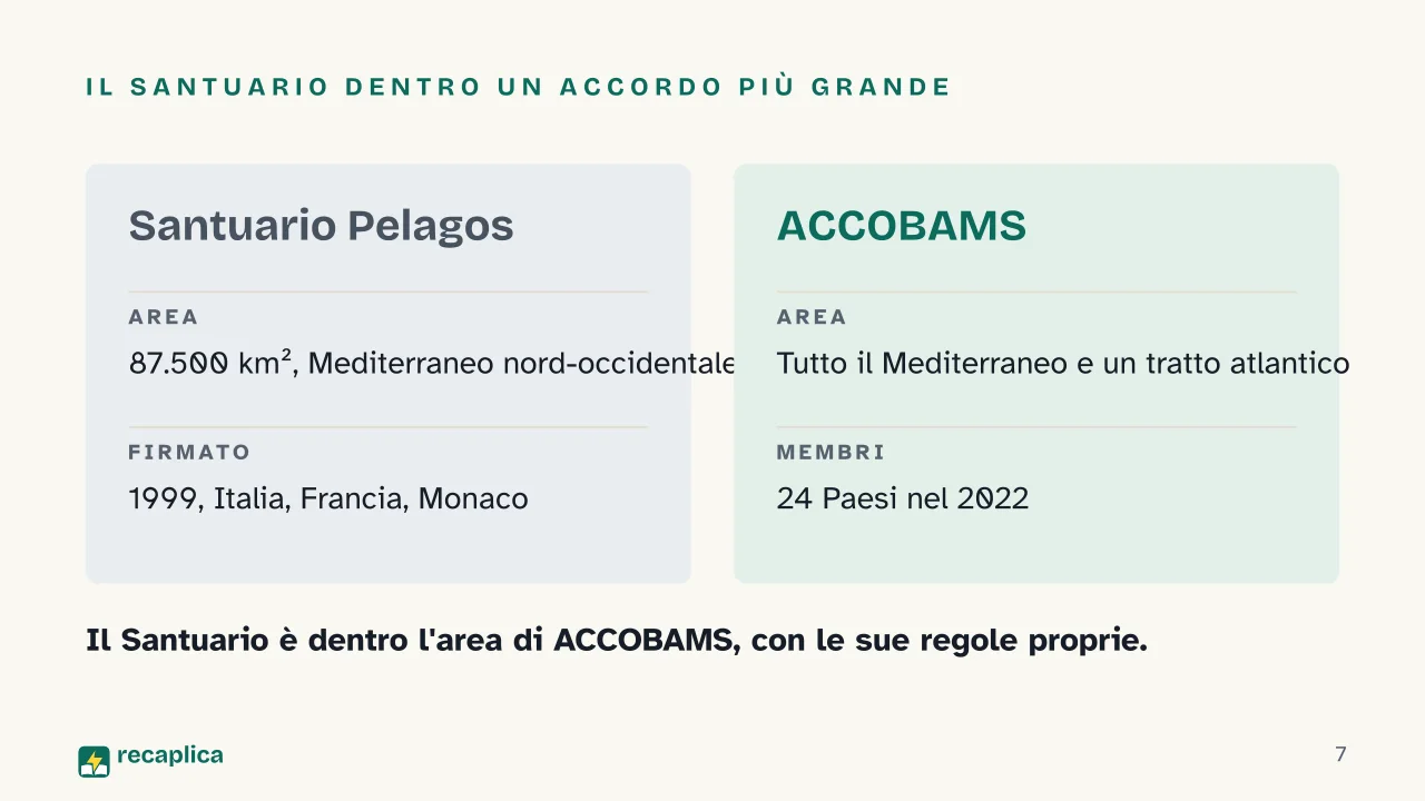 Slide 7 della presentazione su Santuario Pelagos: Il Santuario dentro un accordo più grande