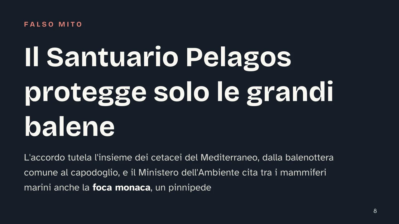 Slide 8 della presentazione su Santuario Pelagos: Il Santuario Pelagos protegge solo le grandi balene