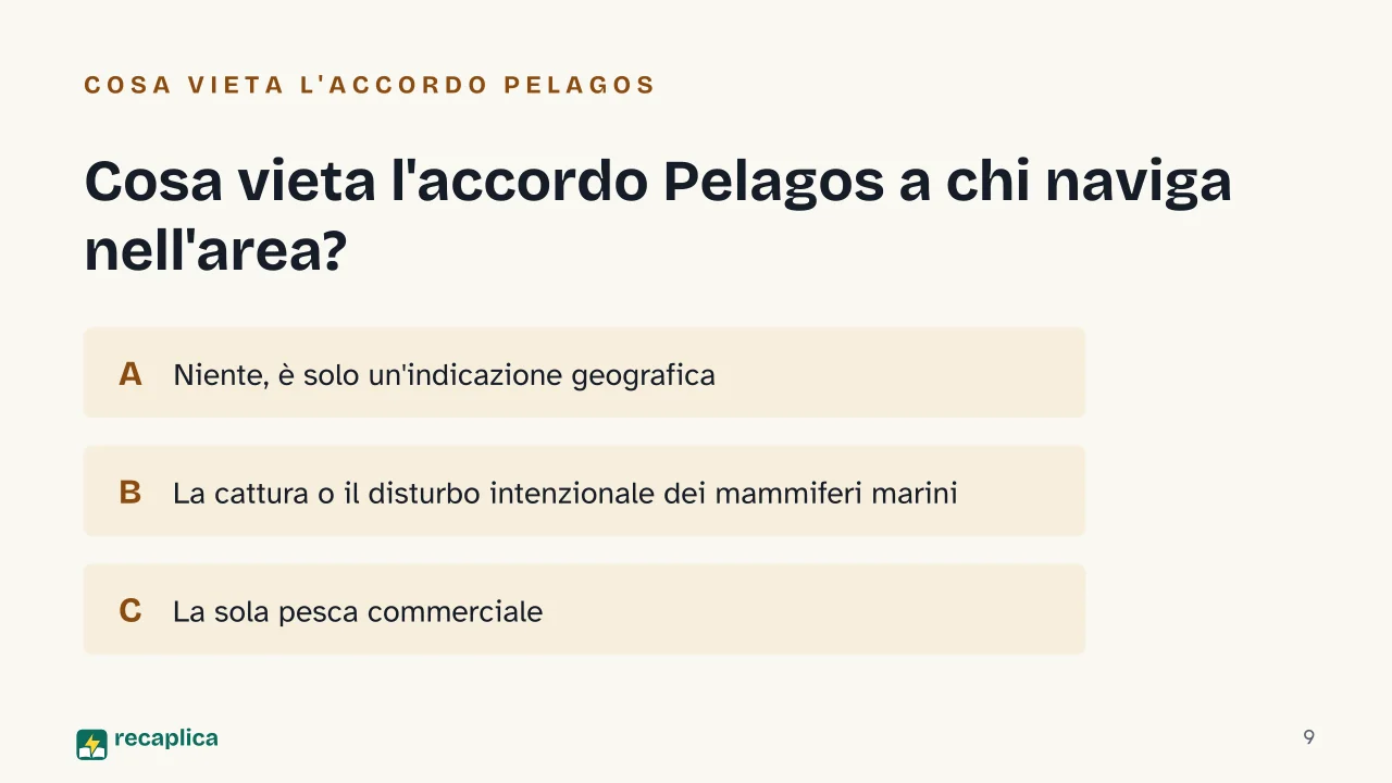 Slide 9 della presentazione su Santuario Pelagos: Cosa vieta l'accordo Pelagos a chi naviga nell'area?