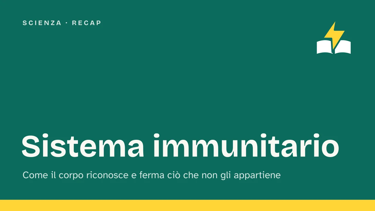 Slide 1 della presentazione su Sistema immunitario, come funziona: Sistema immunitario