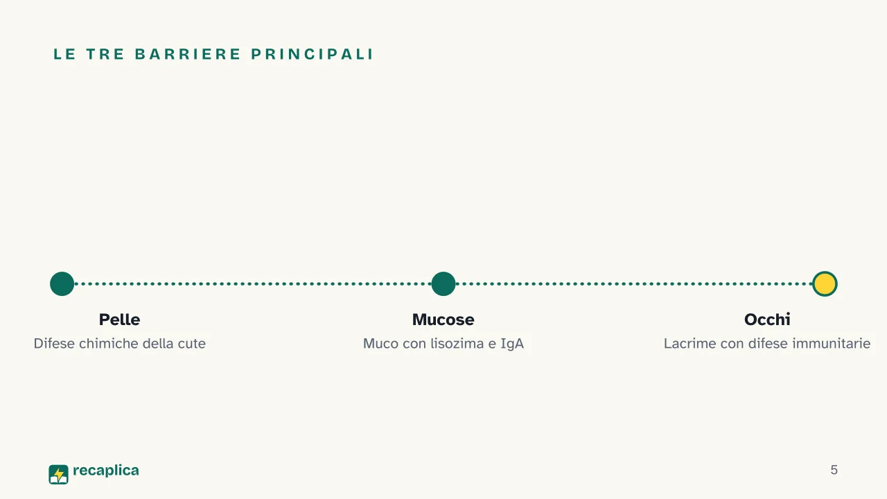 Slide 5 della presentazione su Sistema immunitario, come funziona: Le tre barriere principali