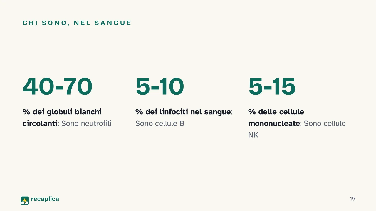 Slide 15 della presentazione su Sistema immunitario, come funziona: Chi sono, nel sangue