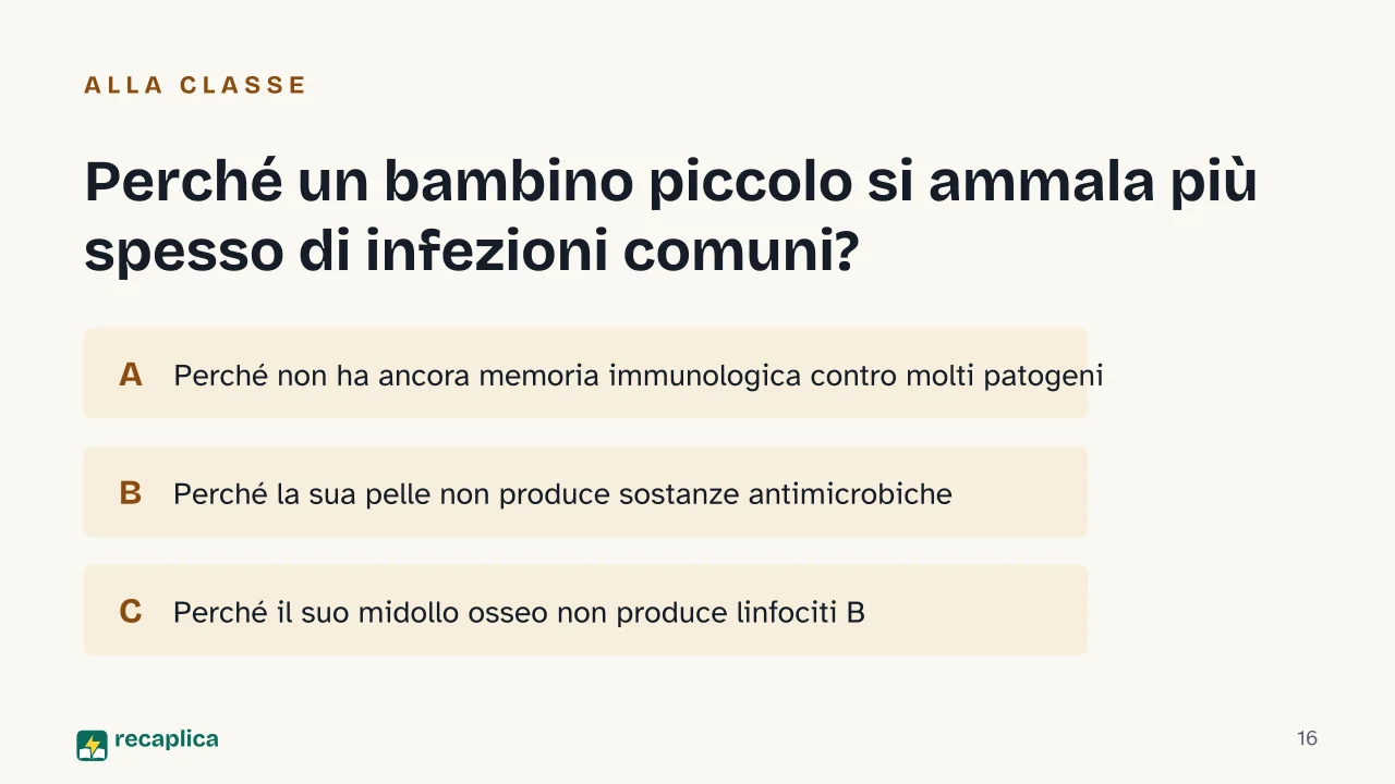 Slide 16 della presentazione su Sistema immunitario, come funziona: Perché un bambino piccolo si ammala più spesso di infezioni comuni?