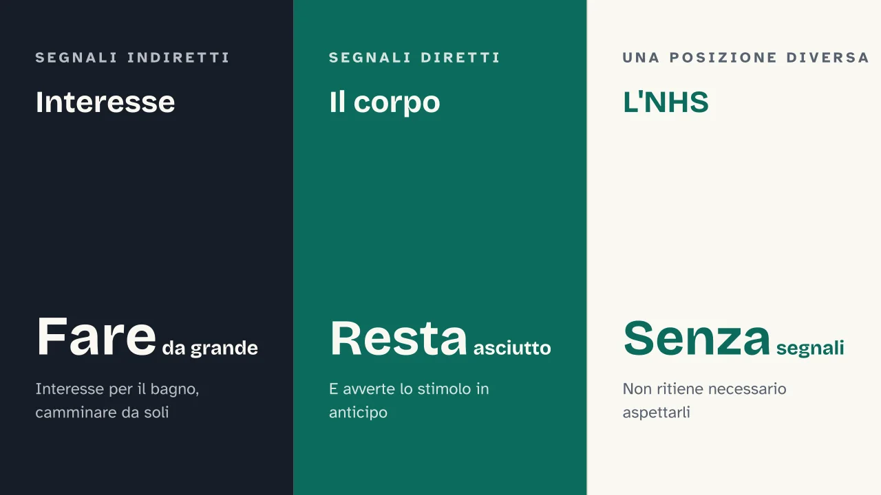 Slide 8 della presentazione su Spannolinamento: Interesse · Il corpo · L'NHS