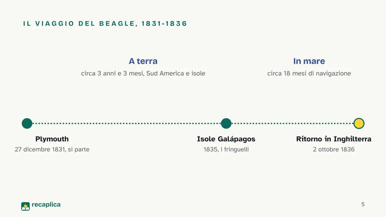 Slide 5 della presentazione su Teoria dell'evoluzione di Darwin: Il viaggio del Beagle, 1831-1836