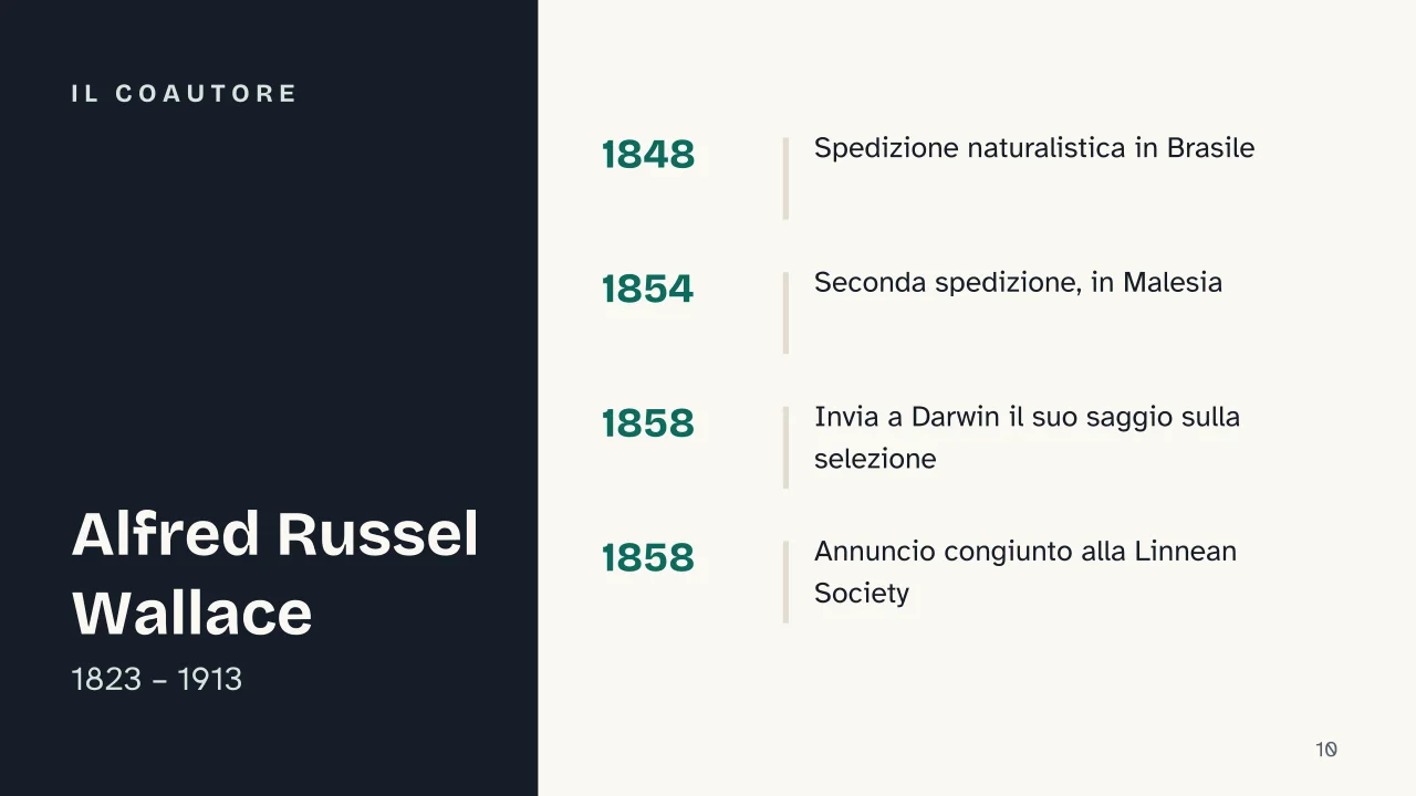 Slide 10 della presentazione su Teoria dell'evoluzione di Darwin: Il coautore