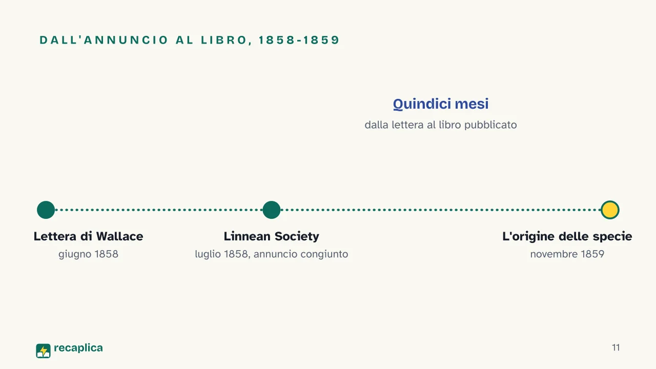 Slide 11 della presentazione su Teoria dell'evoluzione di Darwin: Dall'annuncio al libro, 1858-1859