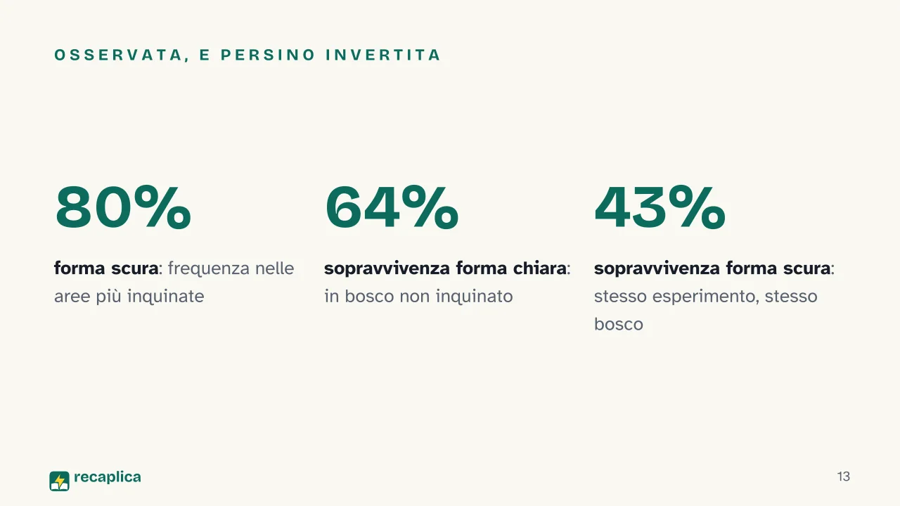 Slide 13 della presentazione su Teoria dell'evoluzione di Darwin: Osservata, e persino invertita