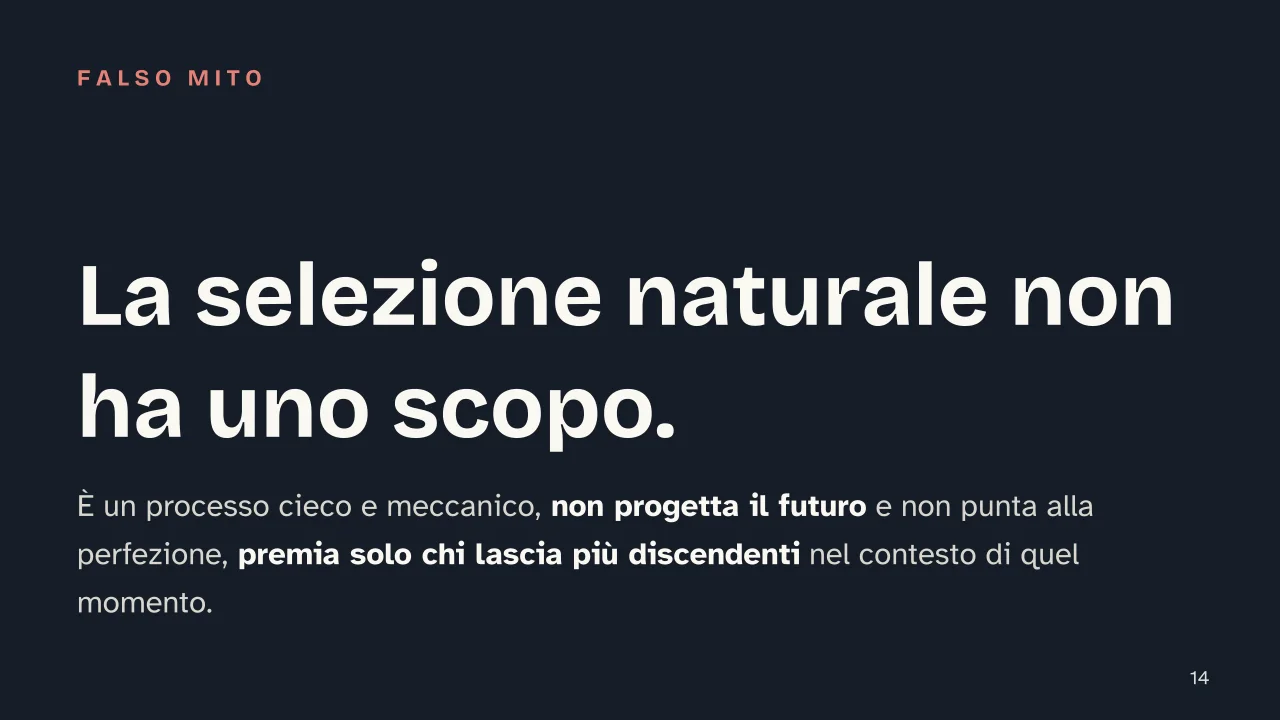 Slide 14 della presentazione su Teoria dell'evoluzione di Darwin: La selezione naturale non ha uno scopo.